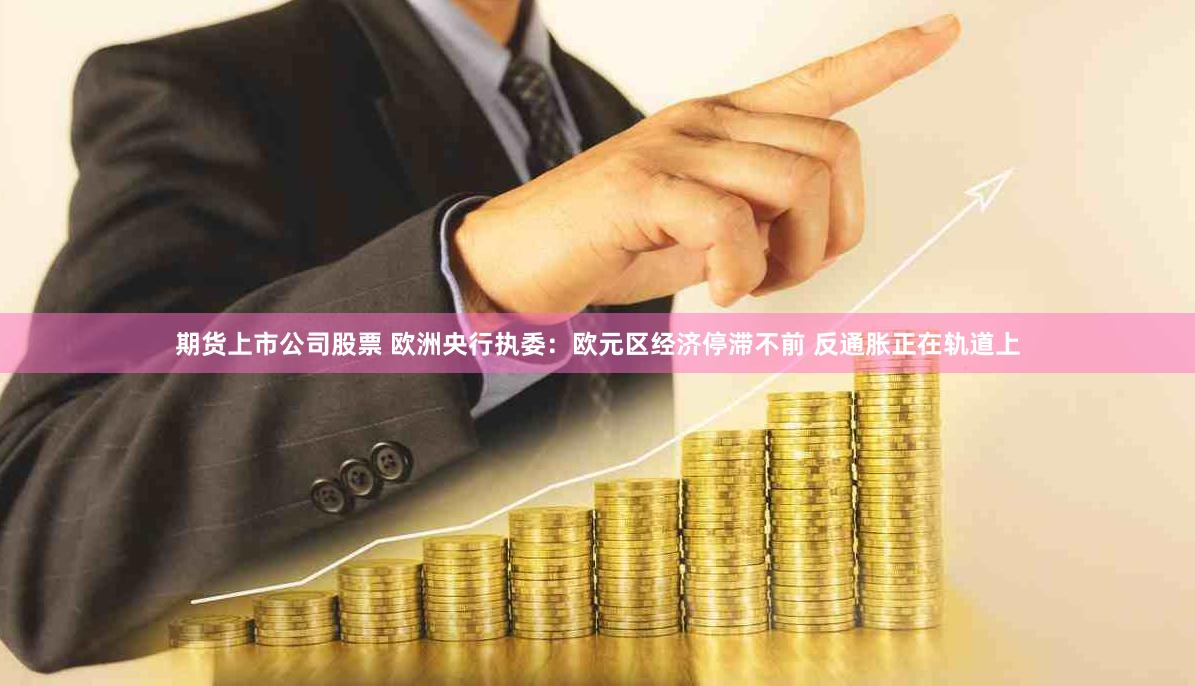 期货上市公司股票 欧洲央行执委：欧元区经济停滞不前 反通胀正在轨道上