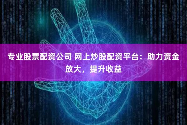 专业股票配资公司 网上炒股配资平台：助力资金放大，提升收益